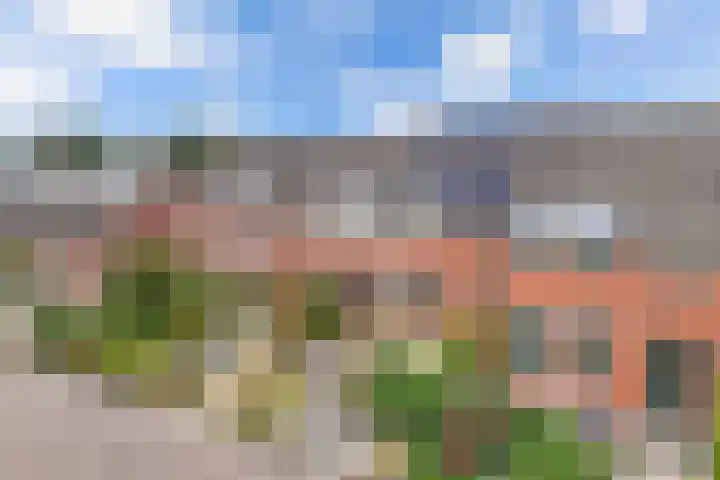 Hardewijk 8 Noordwolde thumbnail 49