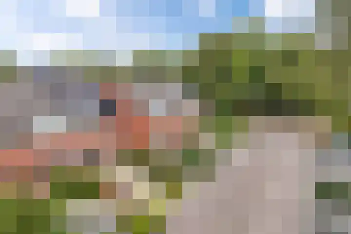 Hardewijk 8 Noordwolde thumbnail 50