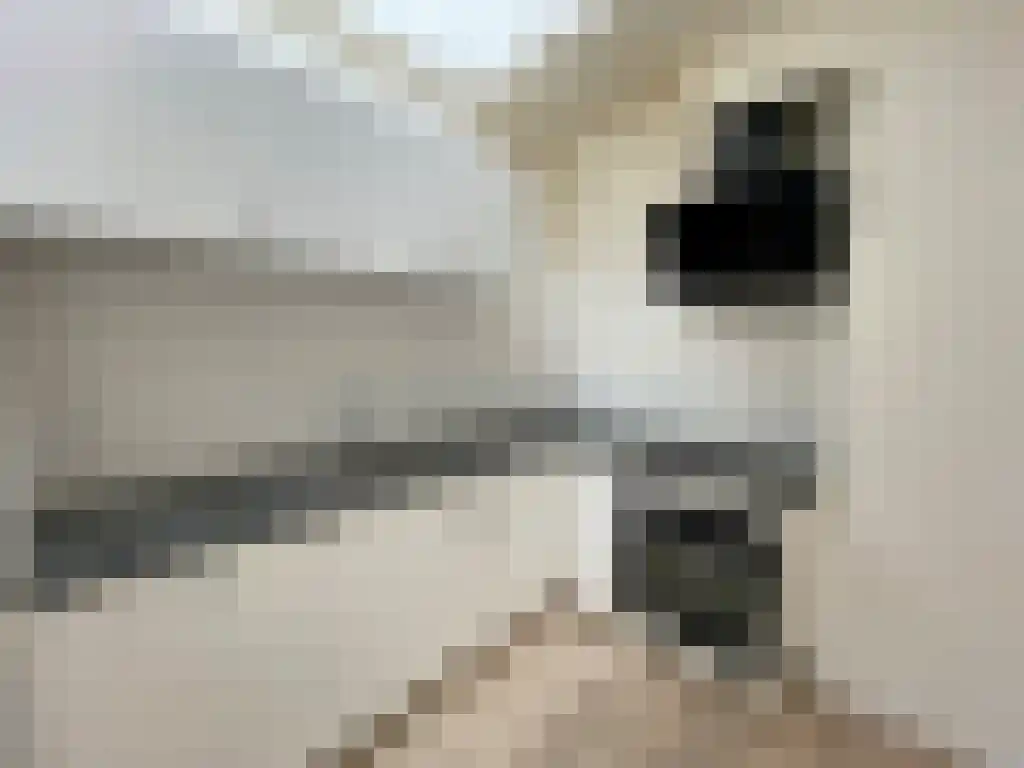 Hardewikerstraat 13 Groningen thumbnail 5