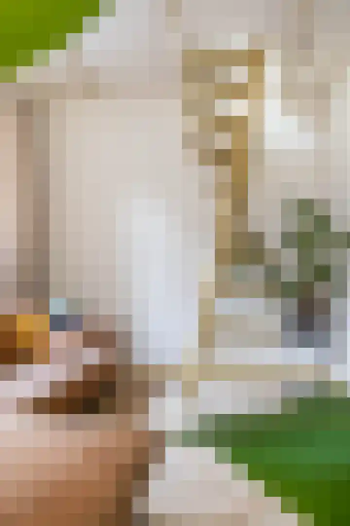 Hardewikerstraat 39 Groningen thumbnail 14