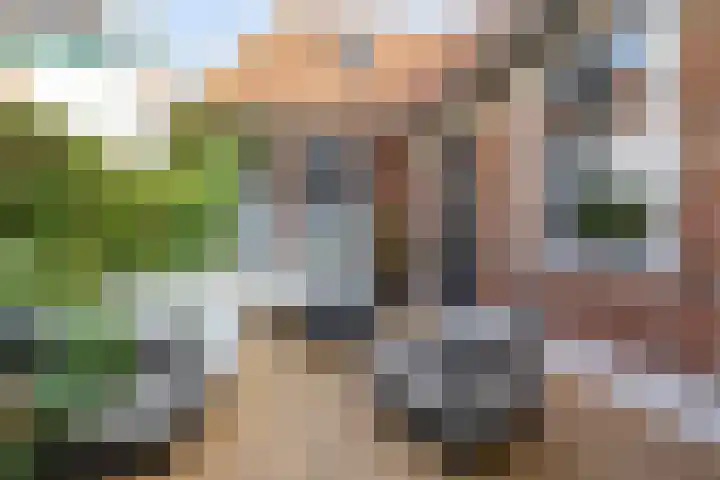 Hardewikerstraat 39 Groningen thumbnail 38