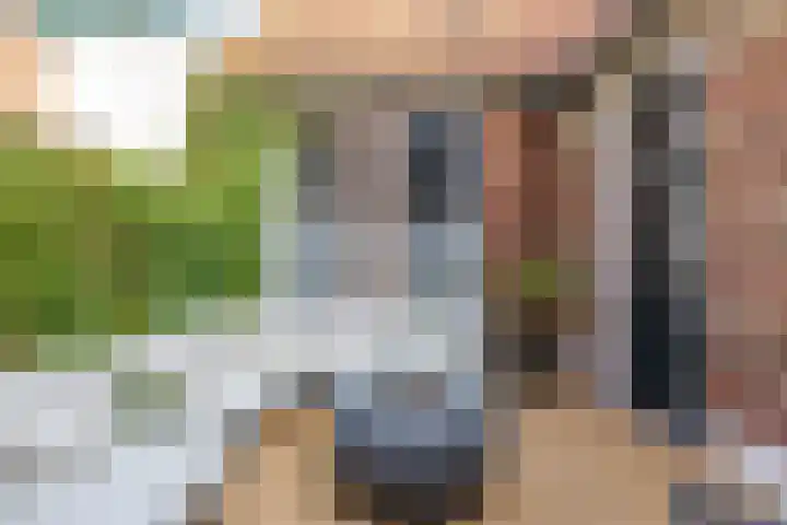 Hardewikerstraat 39 Groningen thumbnail 39