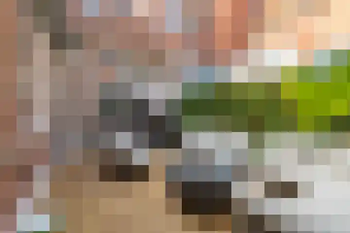 Hardewikerstraat 39 Groningen thumbnail 40
