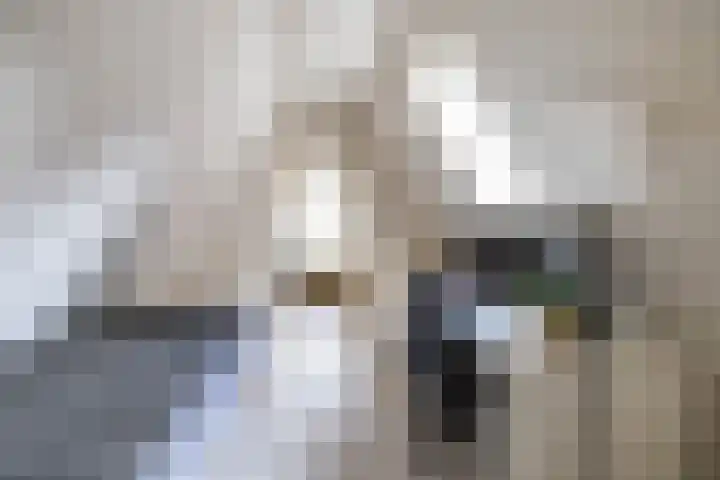 Hardewikerstraat 39 Groningen thumbnail 56