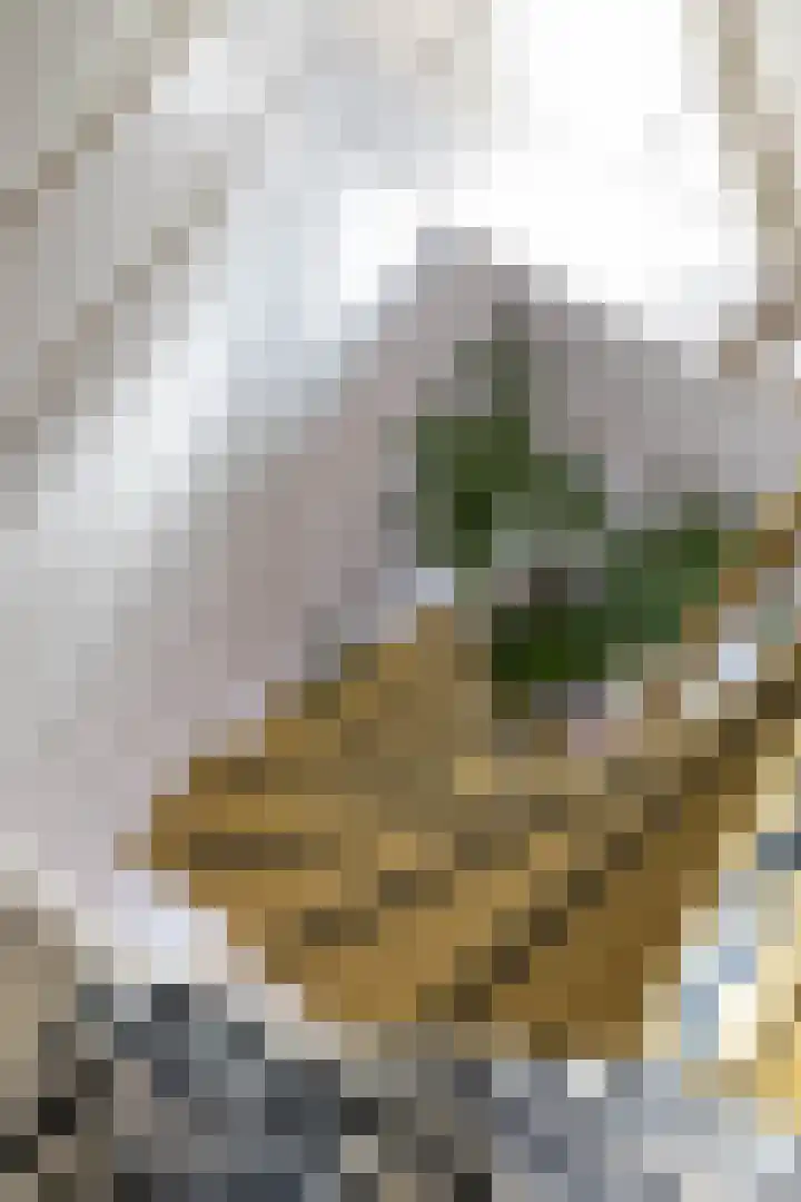 Hardewikerstraat 39 Groningen thumbnail 57
