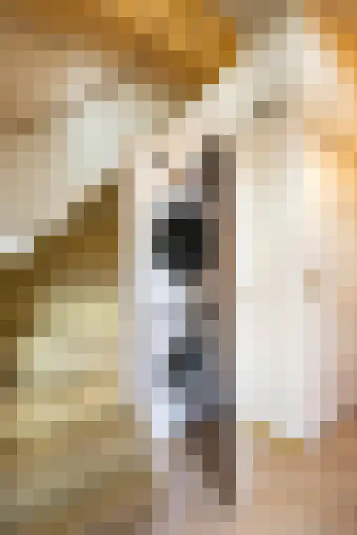 Hardewikerstraat 39 Groningen thumbnail 6