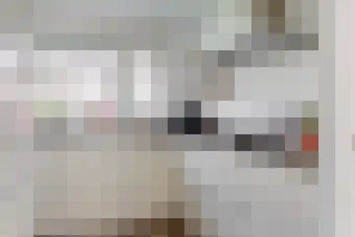 Hardgras 11 Houten thumbnail 11