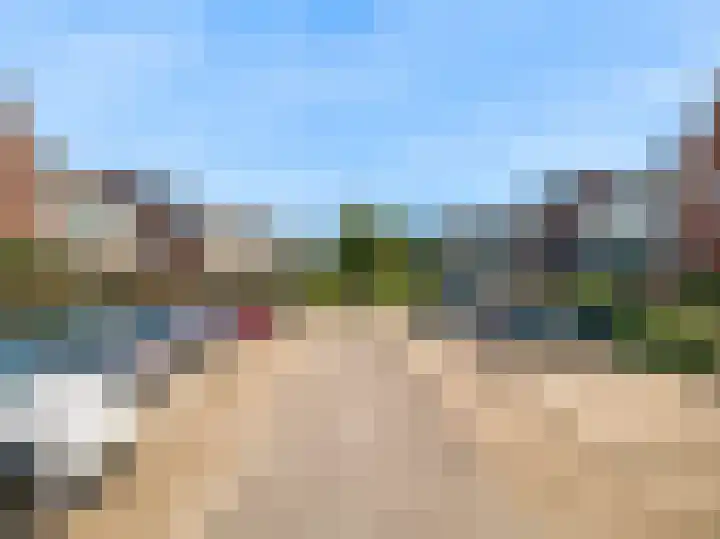 Hardgras 11 Houten thumbnail 29