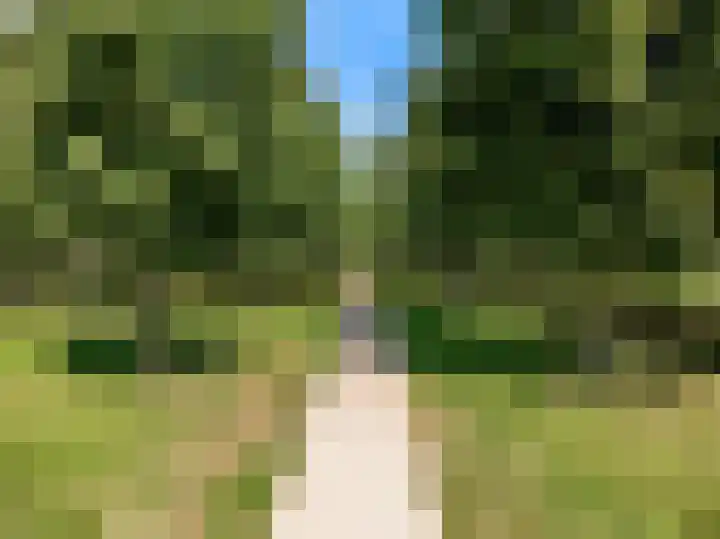 Hardgras 11 Houten thumbnail 33