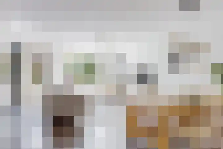 Hardgras 11 Houten thumbnail 7