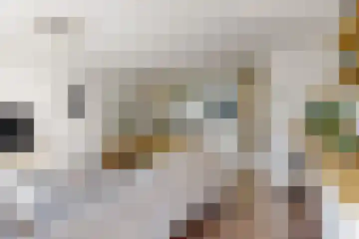 Hardgras 11 Houten thumbnail 8
