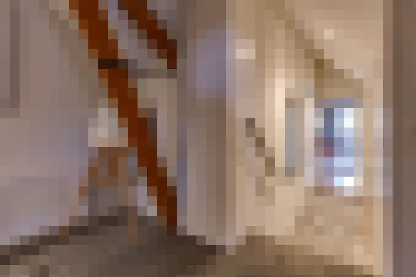 Hardingstraat 3 Onstwedde thumbnail 46