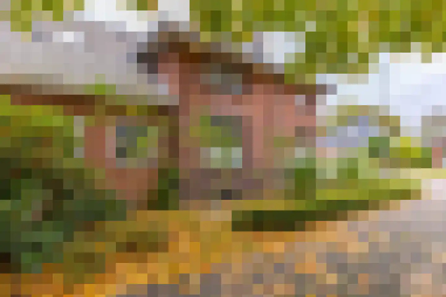 Hardingstraat 3 Onstwedde thumbnail 57