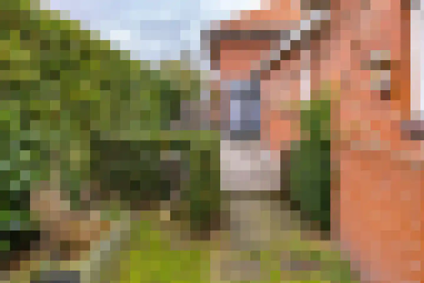 Hardingstraat 3 Onstwedde thumbnail 60