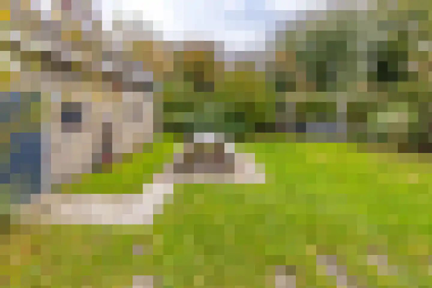 Hardingstraat 3 Onstwedde thumbnail 62