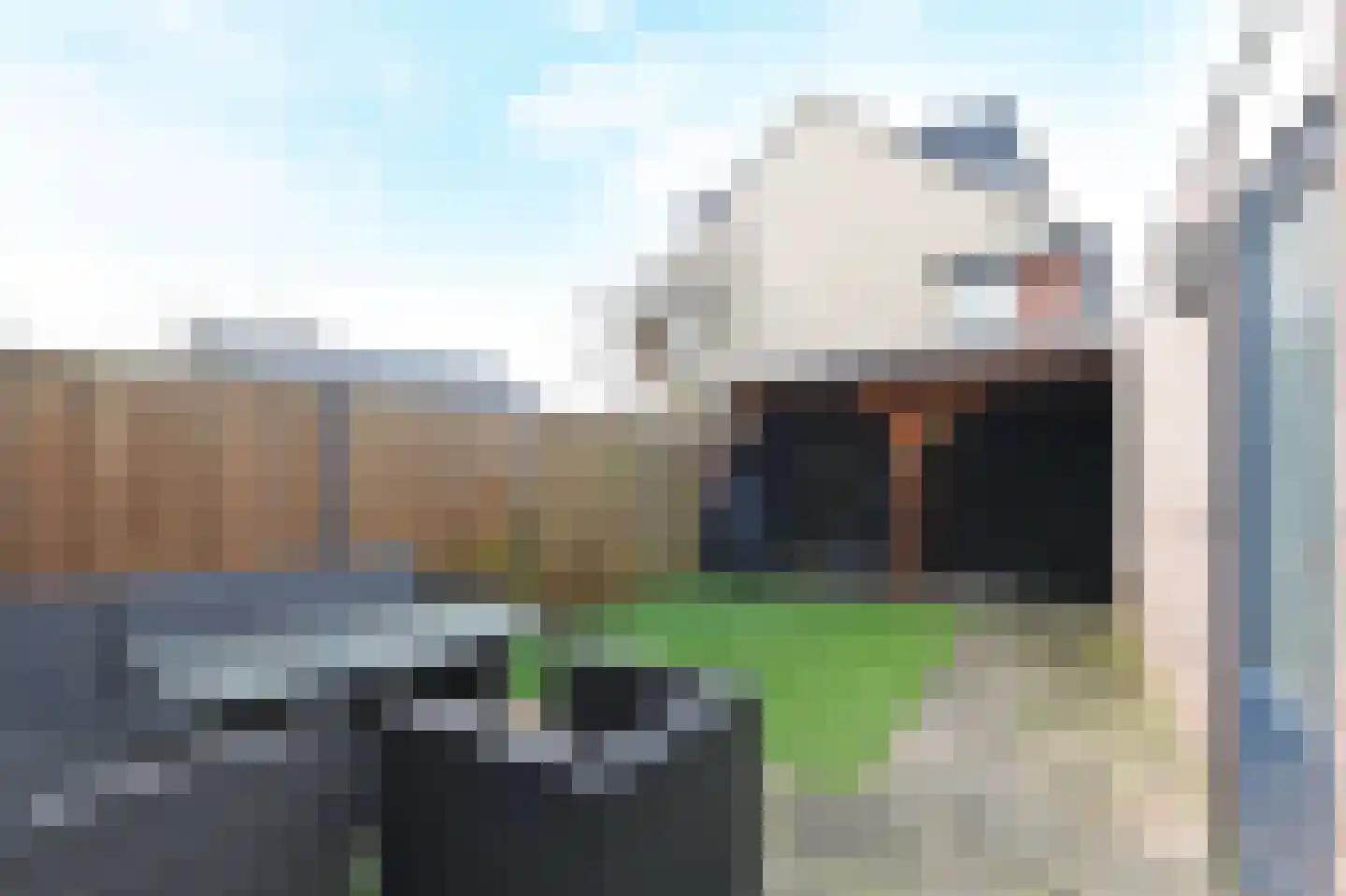 Hardsteen 43 Zoetermeer thumbnail 19