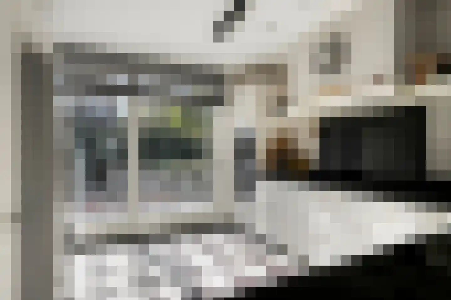 Hardveld 31 Schijndel thumbnail 15