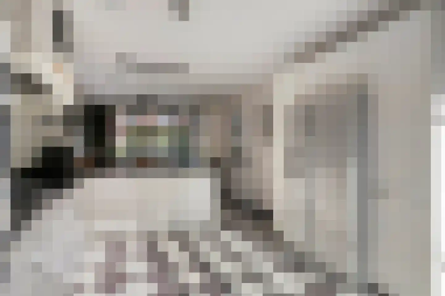 Hardveld 31 Schijndel thumbnail 17