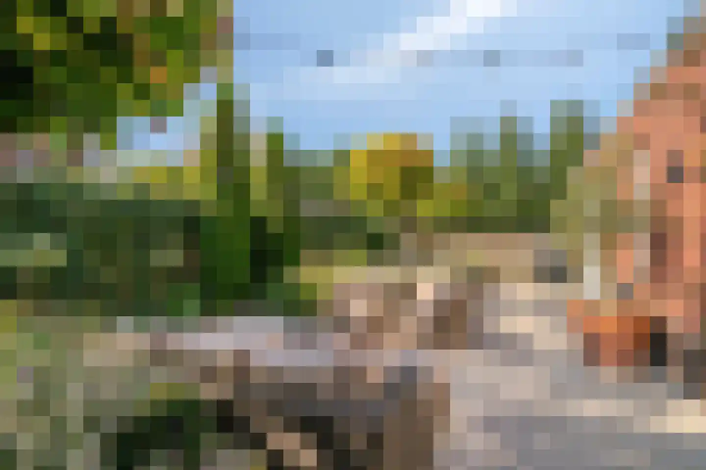 Hardveld 31 Schijndel thumbnail 36