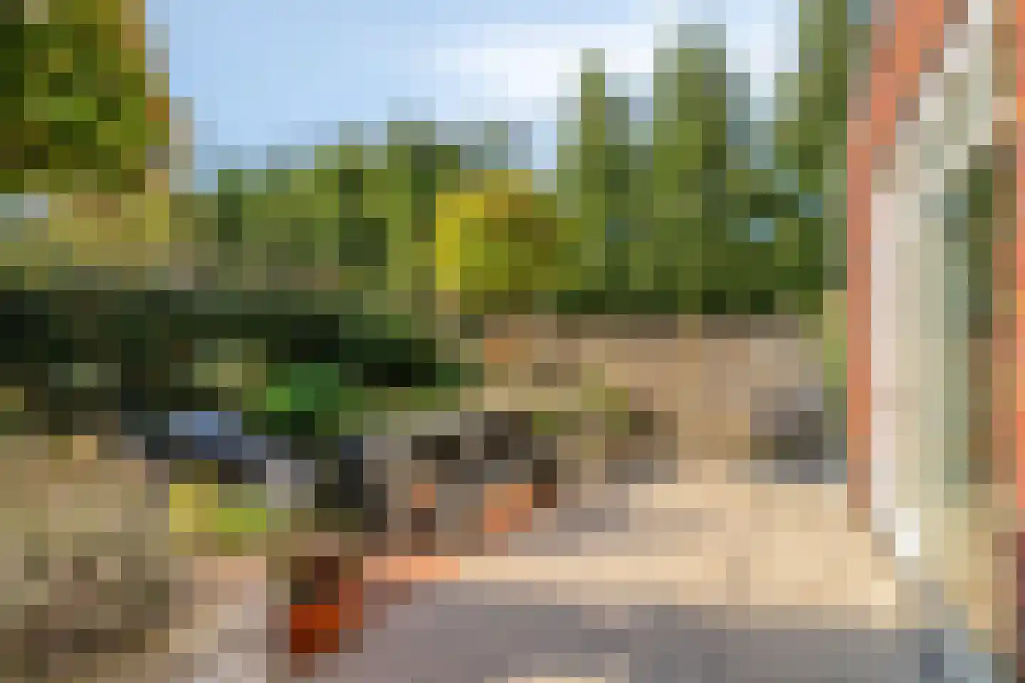 Hardveld 31 Schijndel thumbnail 37