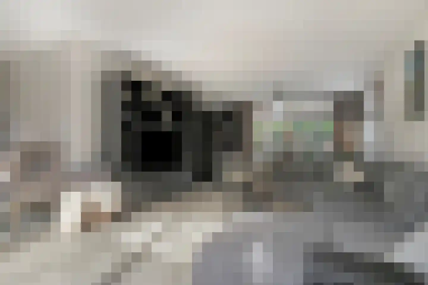 Hardveld 31 Schijndel thumbnail 4