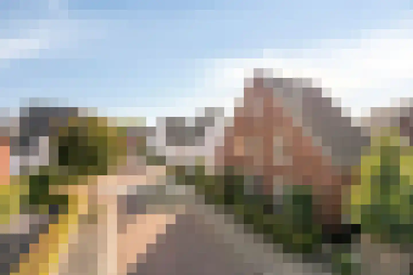 Hardveld 31 Schijndel thumbnail 41