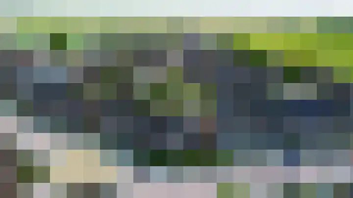 Haremakers 15 Wormer