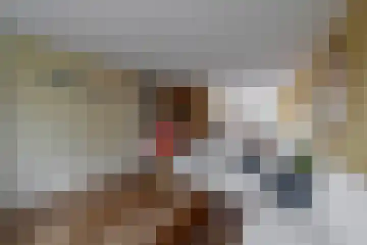Haremakers 15 Wormer thumbnail 12