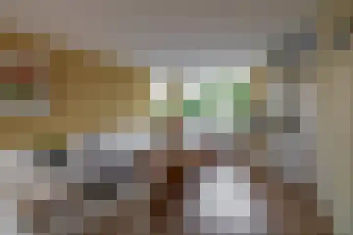 Haremakers 15 Wormer foto 2