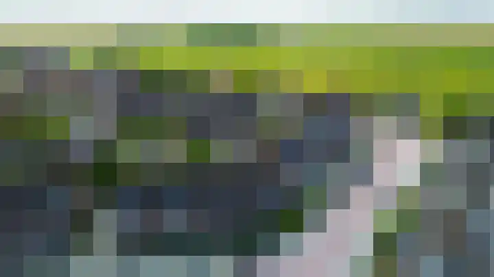 Haremakers 15 Wormer thumbnail 5