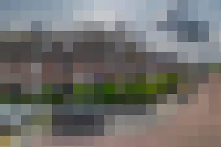 Haremakers 15 Wormer thumbnail 7