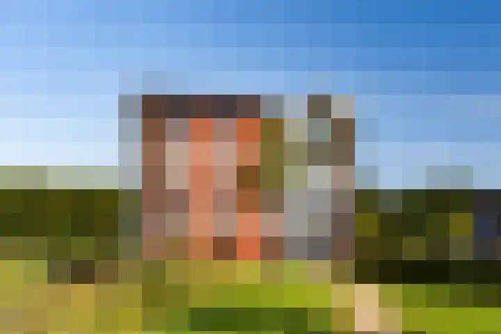 Harenberg 17 Biddinghuizen thumbnail 10