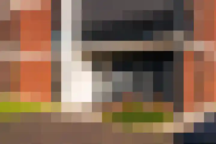 Harenberg 17 Biddinghuizen thumbnail 11