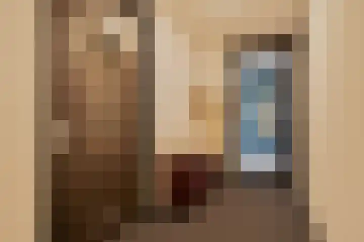 Harenberg 17 Biddinghuizen thumbnail 13