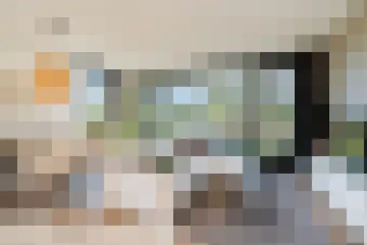Harenberg 17 Biddinghuizen thumbnail 16