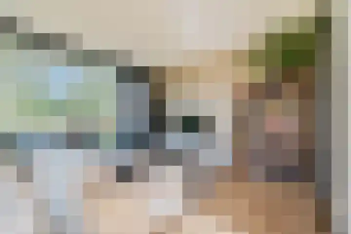 Harenberg 17 Biddinghuizen thumbnail 18