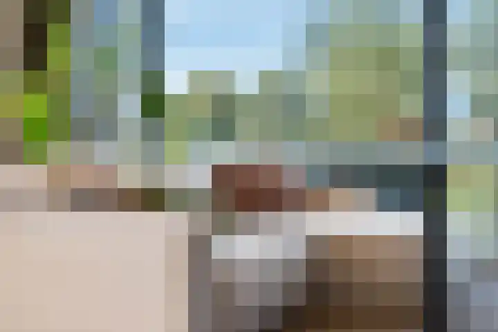 Harenberg 17 Biddinghuizen thumbnail 19