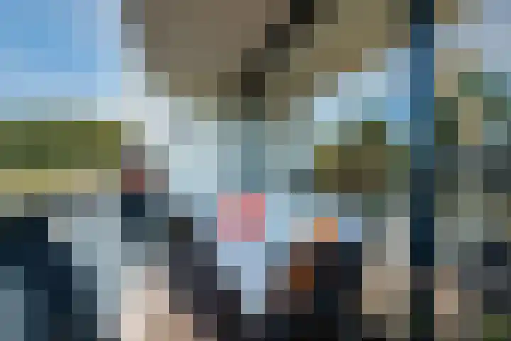 Harenberg 17 Biddinghuizen thumbnail 21