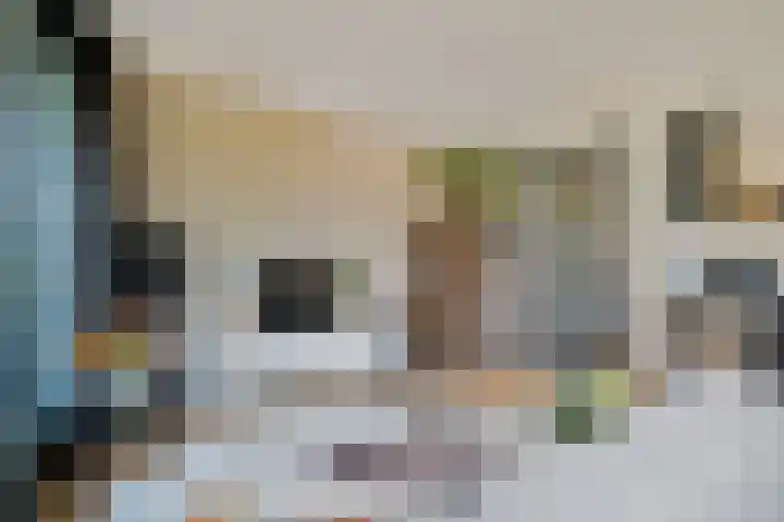 Harenberg 17 Biddinghuizen thumbnail 24
