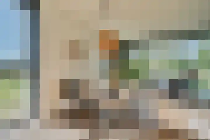 Harenberg 17 Biddinghuizen thumbnail 25