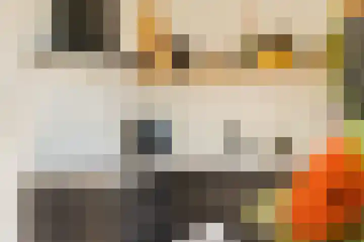 Harenberg 17 Biddinghuizen thumbnail 27
