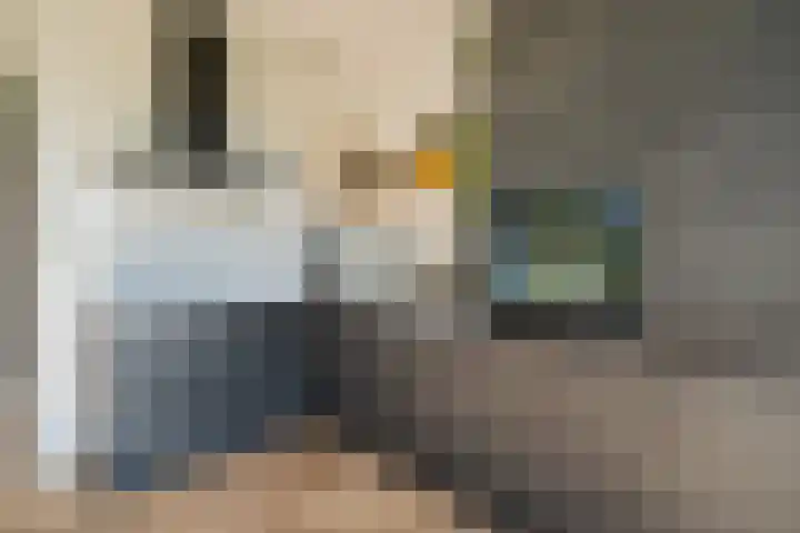 Harenberg 17 Biddinghuizen thumbnail 28