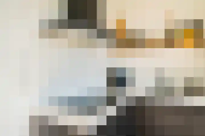 Harenberg 17 Biddinghuizen thumbnail 31