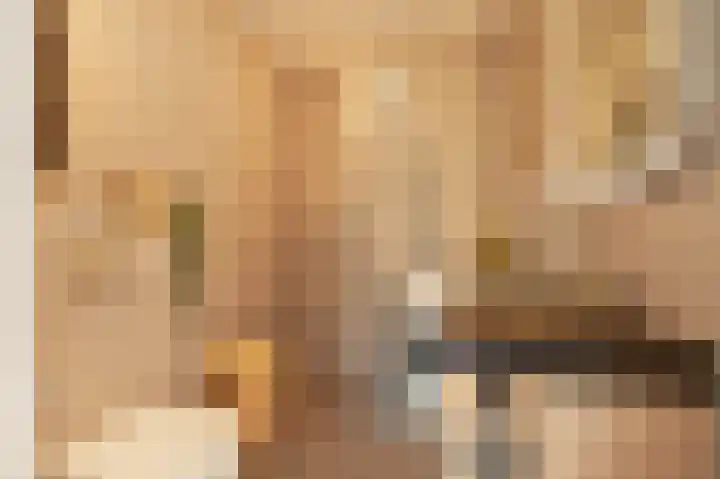 Harenberg 17 Biddinghuizen thumbnail 33