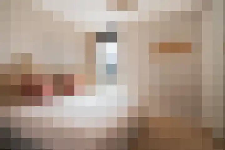 Harenberg 17 Biddinghuizen thumbnail 35