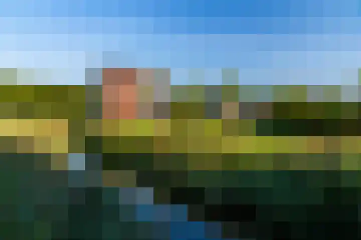 Harenberg 17 Biddinghuizen thumbnail 39
