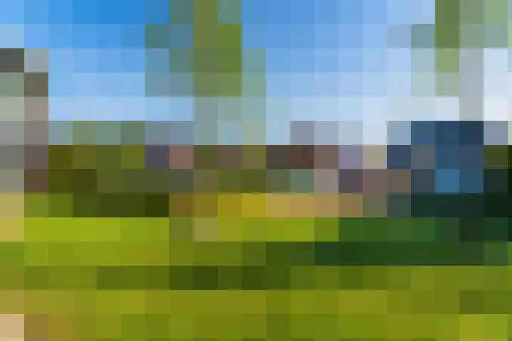 Harenberg 17 Biddinghuizen thumbnail 40