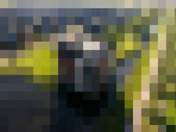 Harenberg 17 Biddinghuizen thumbnail 41