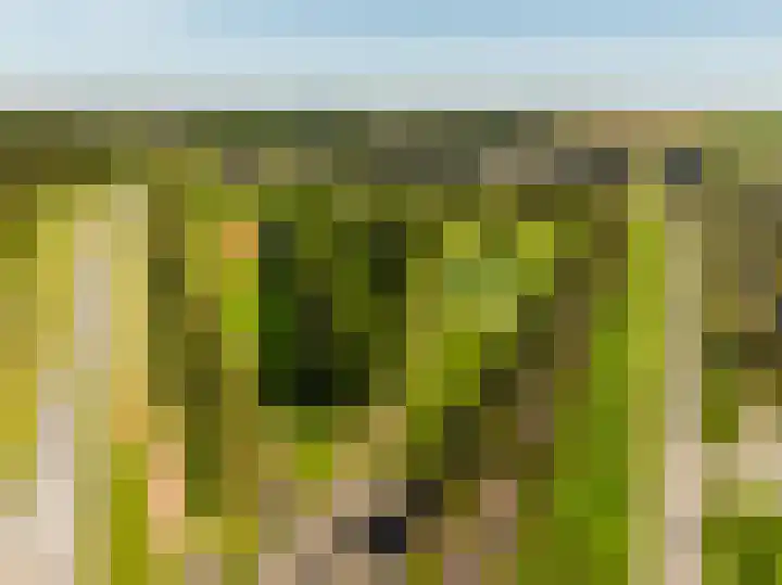 Harenberg 17 Biddinghuizen thumbnail 43