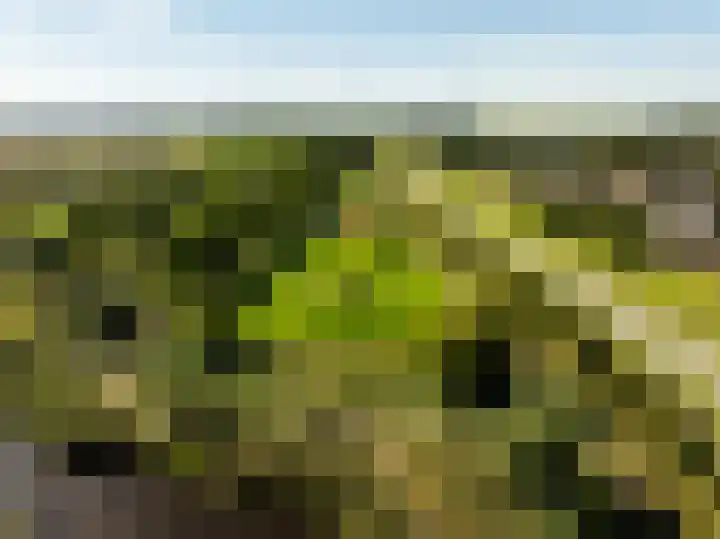 Harenberg 17 Biddinghuizen thumbnail 44
